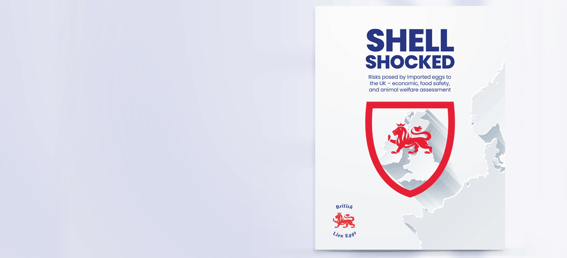 Shell shocked banner